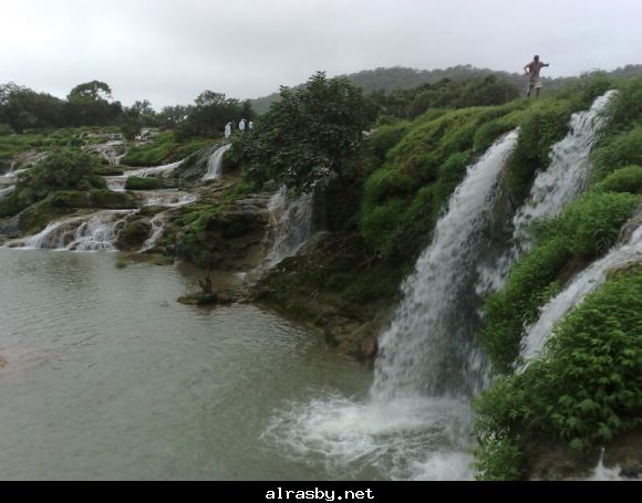 معرض الصور 1 14
