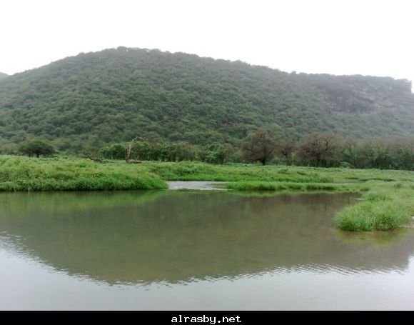 معرض الصور 1 16