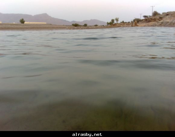معرض الصور 1 24