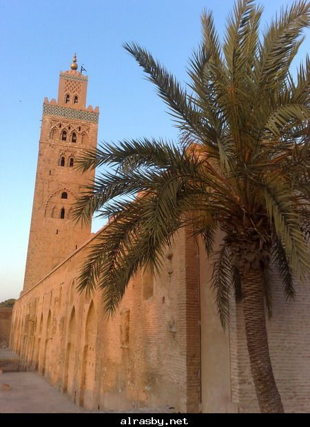 معرض الصور 1 7