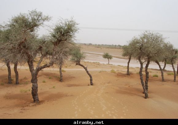 معرض الصور 3 3