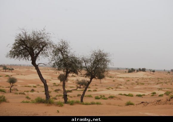 معرض الصور 3 4
