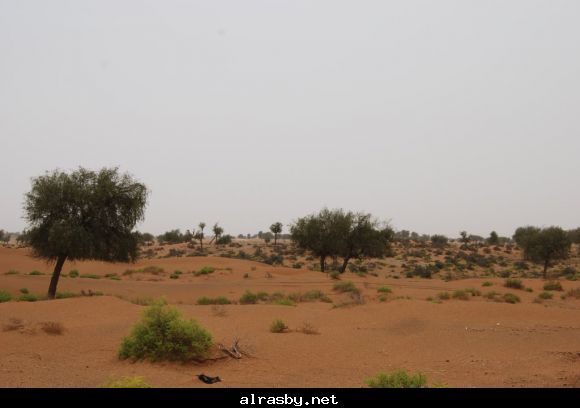 معرض الصور 3 6
