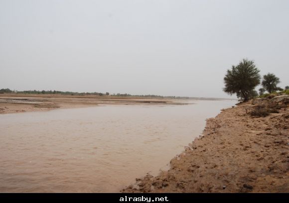 معرض الصور 3 7
