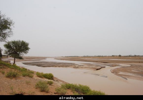 معرض الصور 3 9