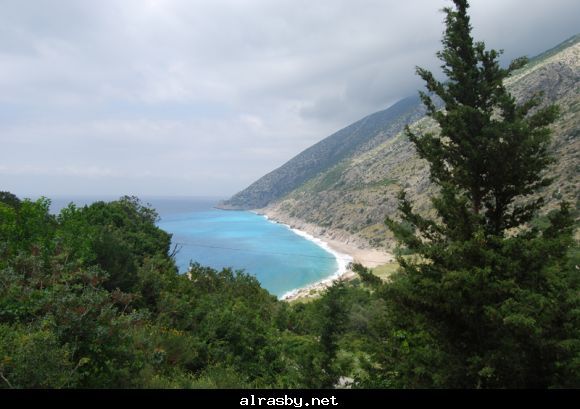 معرض الصور 3 13