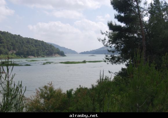 معرض الصور 3 15