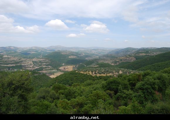 معرض الصور 3 19