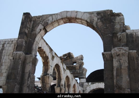 معرض الصور 3 22