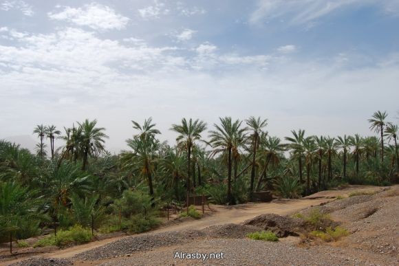 معرض الصور 4 4