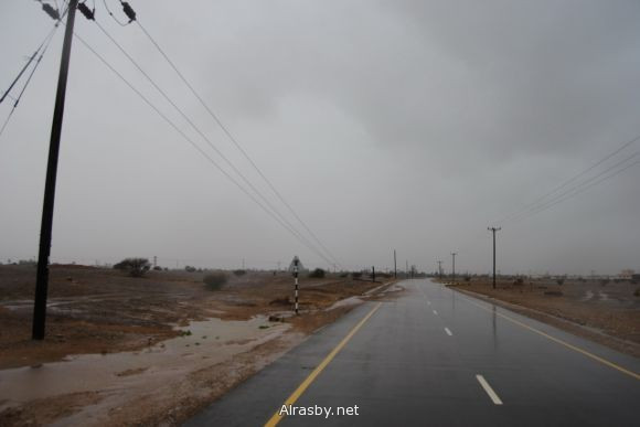معرض الصور 4 11