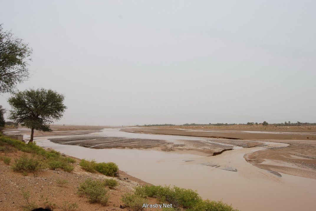 معرض الصور 5 2