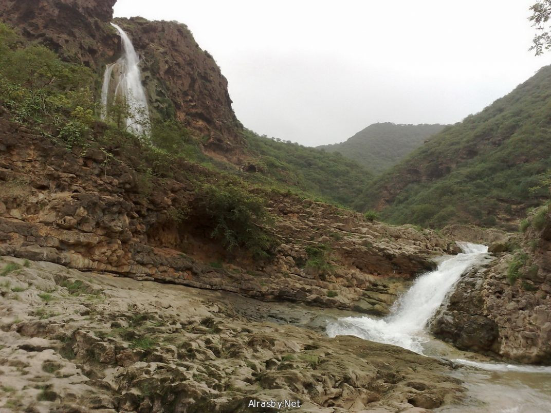 معرض الصور 5 11