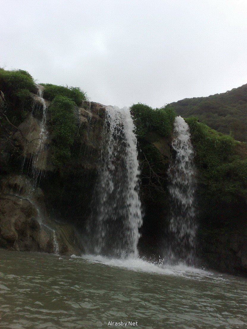 معرض الصور 5 14
