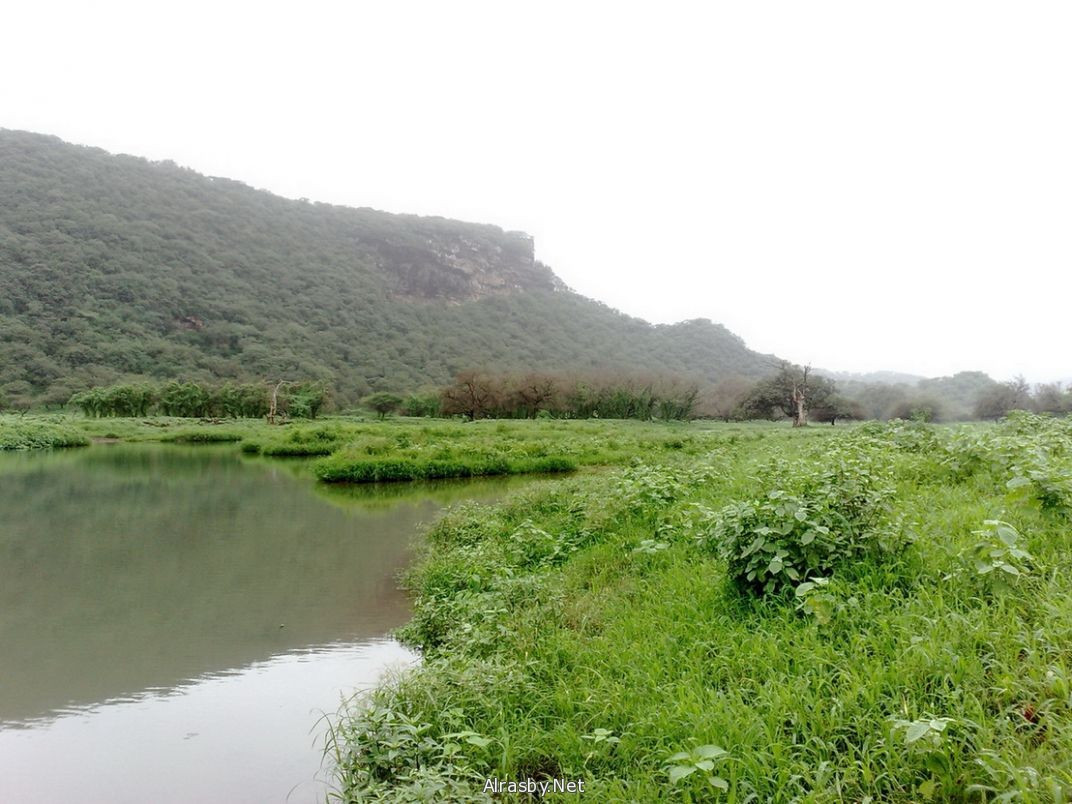 معرض الصور 5 16