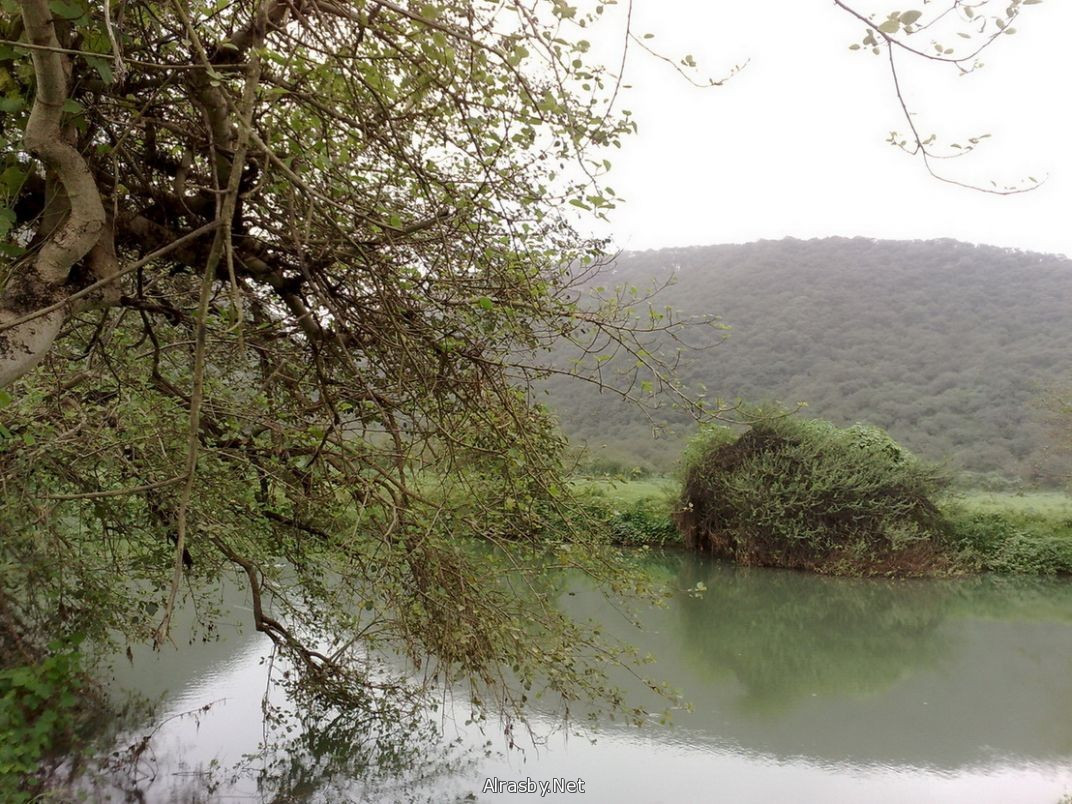 معرض الصور 5 18