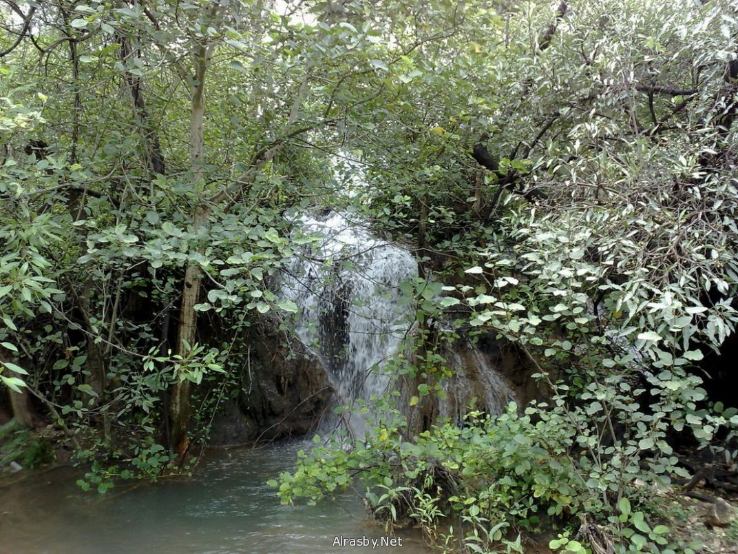 معرض الصور 5 21